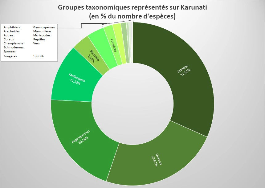 Karunati en chiffres (+maj 2022)