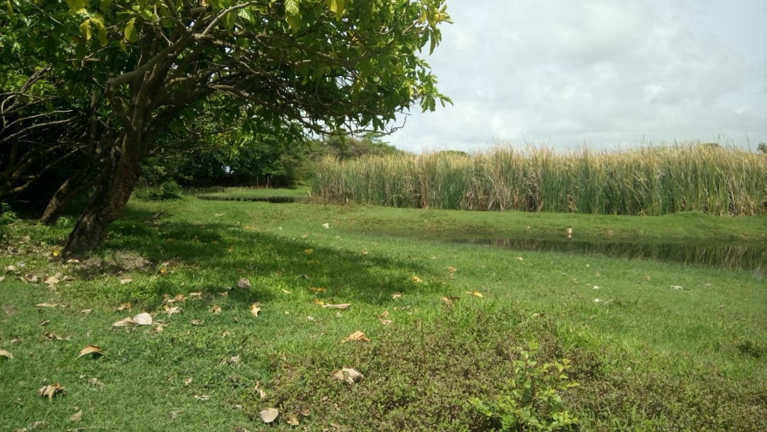 Mise à jour de Karunati du 10/12/2025