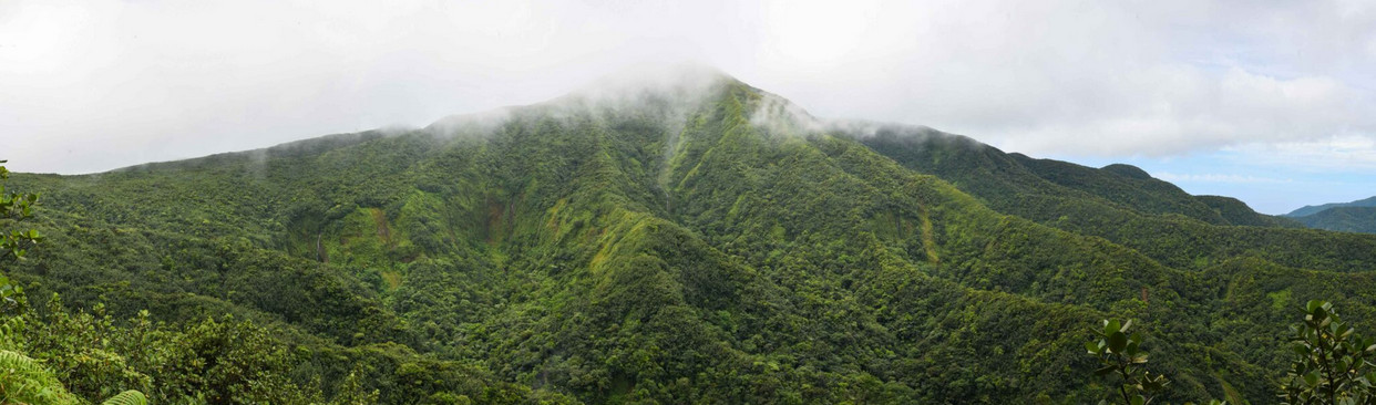 Mise à jour de Karunati du 11/02/2026