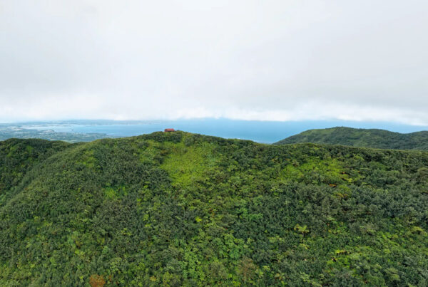 Morne Frébeau